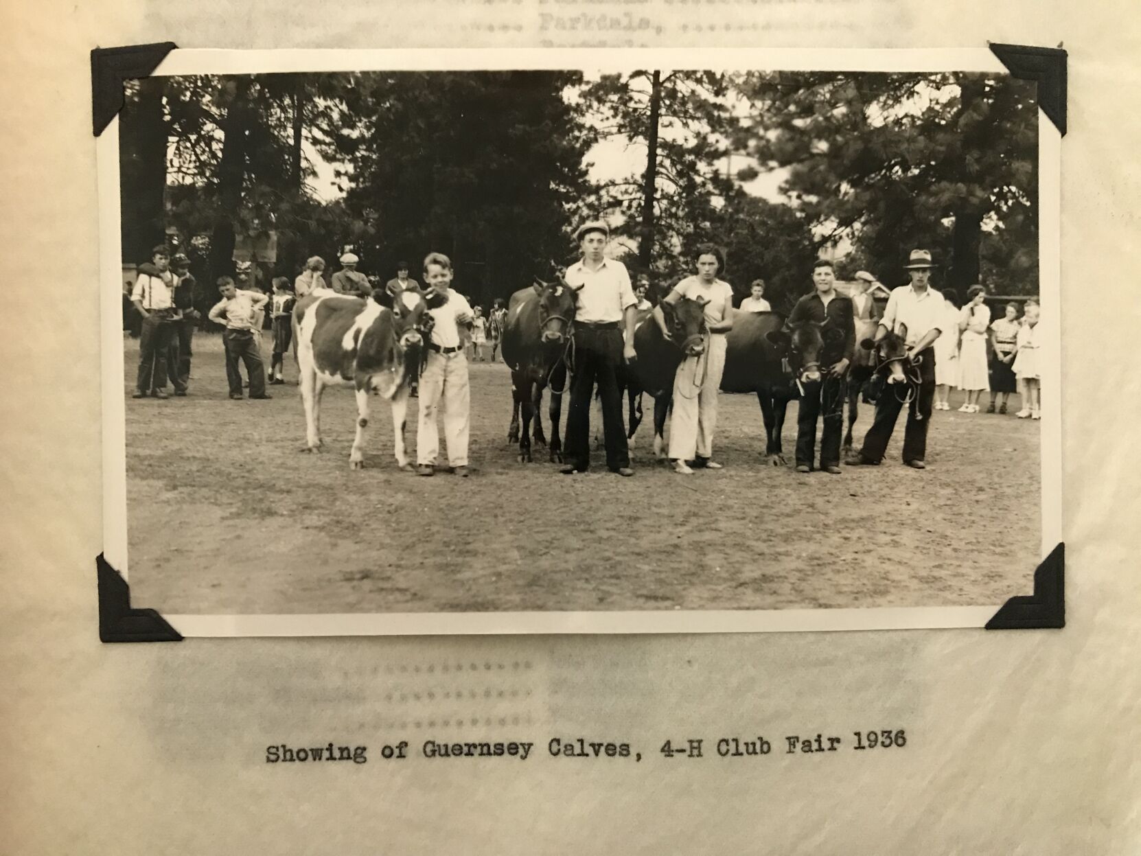 4H fair history 1.JPG
